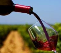 Barossa Valley Wine